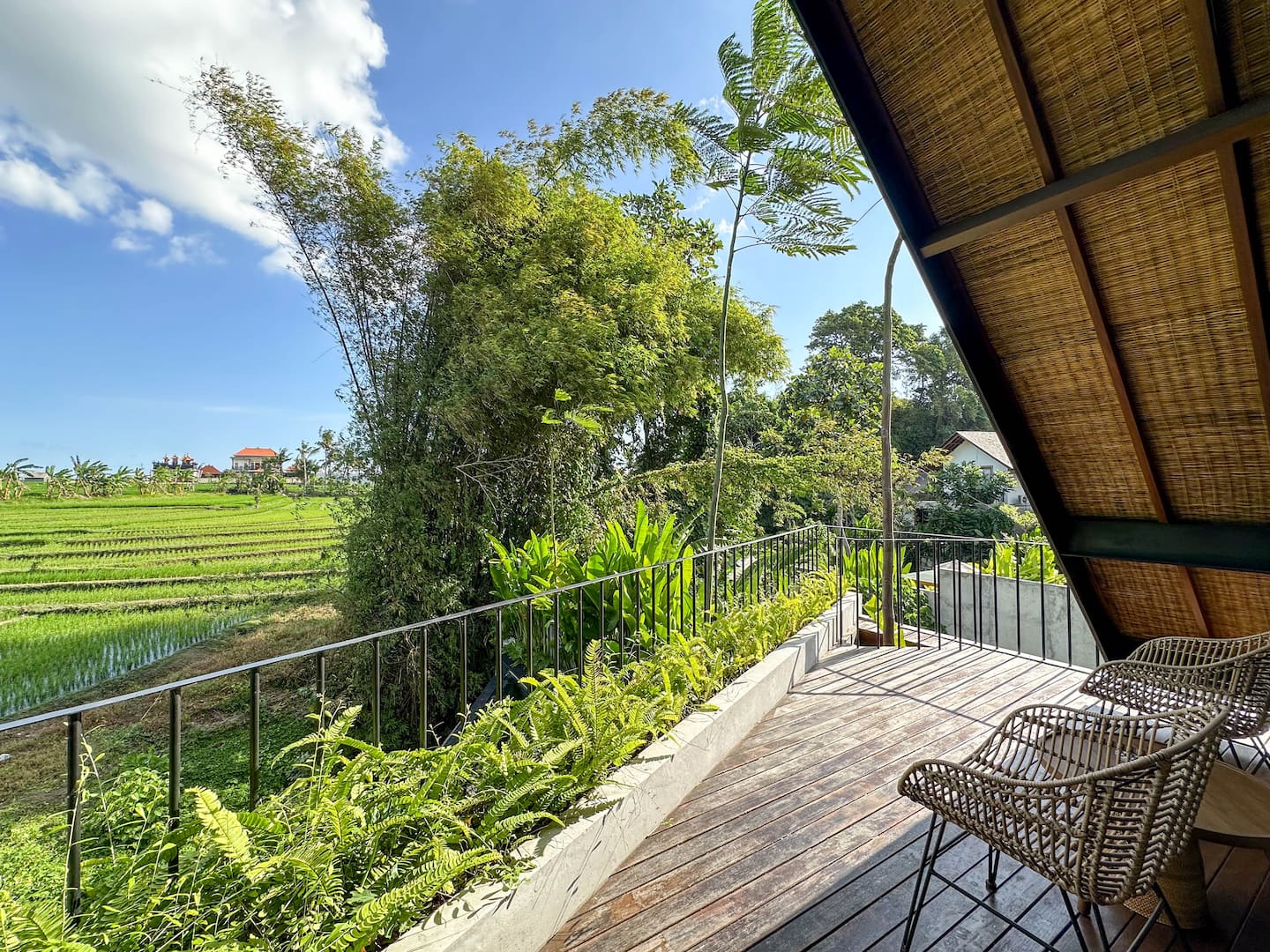 View from the balcony over rice paddies