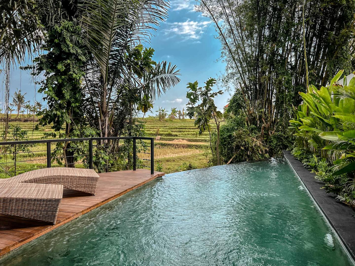 Pool deck with loungers facing the paddies