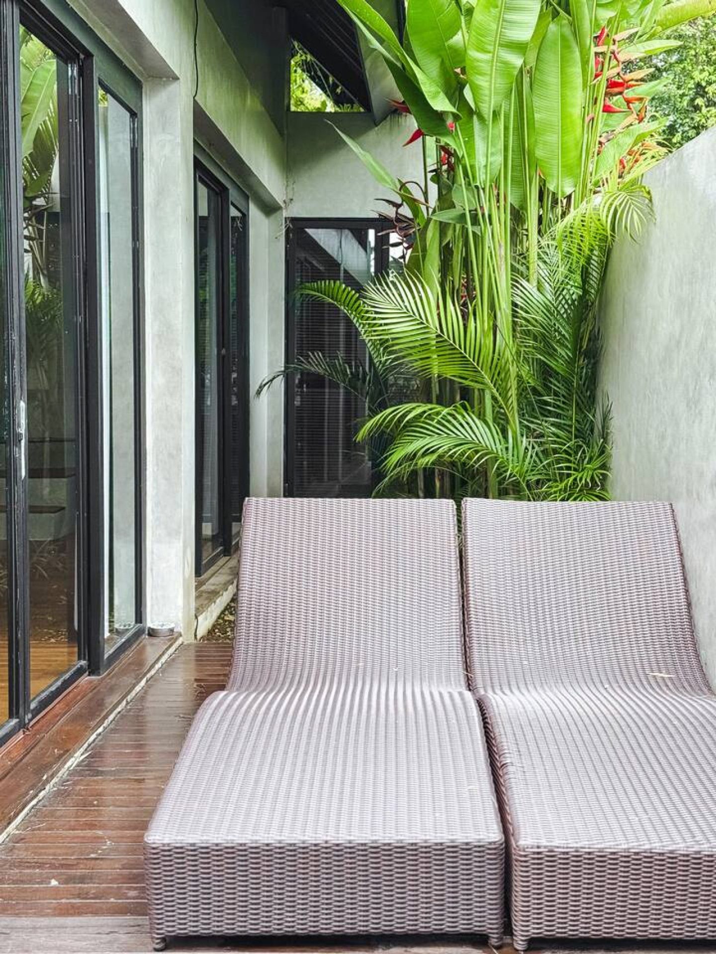 Twin loungers on the deck beside the planting